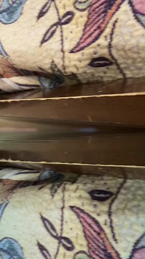 Stygi22 (@doug_the_bug22)’s videos with son original - bill wurtz