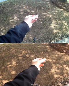 Can you guess which is the $50 action cam vs $300?! 😁 Do you think CHEAP action cams are worth it? - Comparing the #Akaso #EK7000 vs #GoPro8, full review coming soon. | AuthenTech