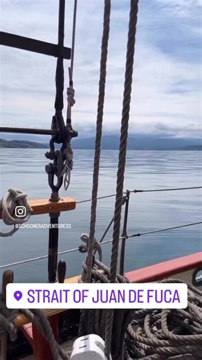 Seattle Academy 6th and 7th grade students were lucky enough to spot a minke whale from the ship yesterday!! #schooneradventuress #whales #salishsea @seattleacademy | Sound Experience aboard the Schooner Adventuress
