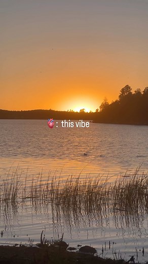 38 reactions · 4 comments | All summer long ☀️ | Visit Pinetop-Lakeside, AZ | Facebook