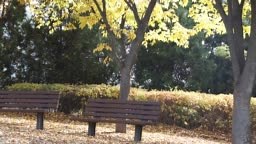 Quiet street autumn landscape