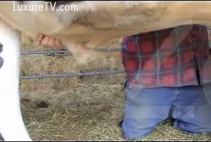 Zoophiliac at the farm