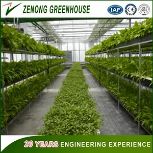 [Hot Item] Easy Control Intelligent Hydroponic Greenhouse PC Sheet/ Glass Greenhouse for Agriculture/Aquaculture/ Livestock Breeding/ Exhibition Research