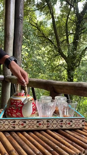 19K views · 716 reactions | POV: you are having chai in between Forest 﫶 #travel #tasteofsiliguri #view #chai | Taste Of Siliguri | Facebook