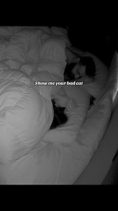 640K views · 3.1K reactions | Show me your bad cat #cookiecat #catsofinstagram #funnypets #badcat #ornagecatbehaviour | itscookiecat | Facebook