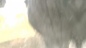 [COMPLETELY DEVOUCOUX] Welcome to our Completely Devoucoux world. ✨ After several weeks of suspense, we are proud to present our new brand film to you. 🎥 Step inside a world that unites us because it reflects who we are: a Completely Devoucoux worl. A certain magic occurs and everyone plays their part. Once upon a time this was a family story, a gathering of people passionate about the privileged relationship between a horse and its rider. Join the Devoucoux adventure as we combine our passions