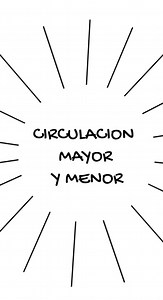 3.2K views · 149 reactions | Circulación mayor y menor del #corazon , #medicina #aprende 變 | EducaMedic | Facebook