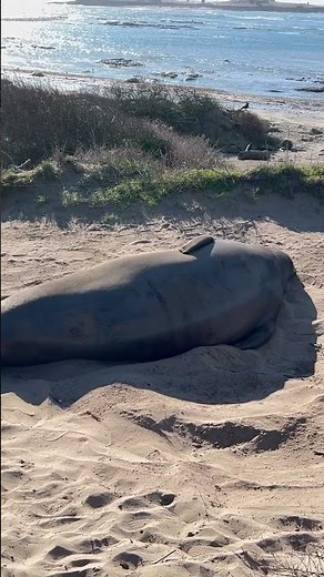 Nude sunbathing on a warm beach