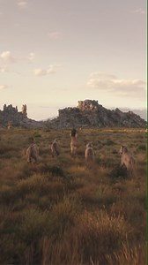 NEW IN from BURBERRY! ⭐ The first refillable fragrance by Burberry; Burberry Gold Eau de Parfum is a scent led by a trio of vanillas and enriched with lavender. The vanilla is collected by hand, then the beans spend five to seven weeks drying in the sun, before being stored in wooden boxes to mature and develop their sweet, signature aroma. Shop now! | Mazaya Stores