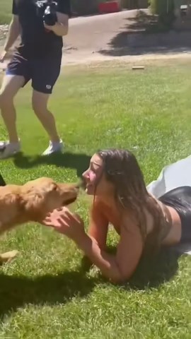 Slip and Slide Shenanigans: Backyard Water Fun