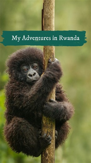 A few years ago, I traveled to Rwanda in Africa to see the awesome mountain gorillas. My daughter Denali was adventurous enough to come with me, and it was an incredible experience to see those gentle giants up close. The person who guided us, my longtime friend Amy Vedder, worked at Wildlife Conservation Society and helped Rwanda to design their successful national park system. After that, I grew increasingly interested in the organization’s work around the globe. Nobody does a better job at gl