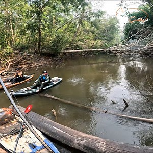 Levei elas nesse riozinho e deu muito peixe #andersonguedes #vidaselvagem #pesqueesolte #pescaesportiva #fishing #pesca #tucunare #aventura #kayakfishing #pesca #pescadores #vidadepescador #amazonia #caiaque #caiaqueiros #kayak #kayakers #peixe #natureza #nature #angler #fishinglures #peixe #iscasartificiais | andersonguedes