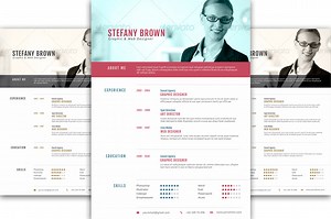 Clean Resume II