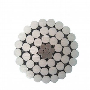 [Hot Item] American Sizes ASTM Standard Bare Overhead ACSR Conductors