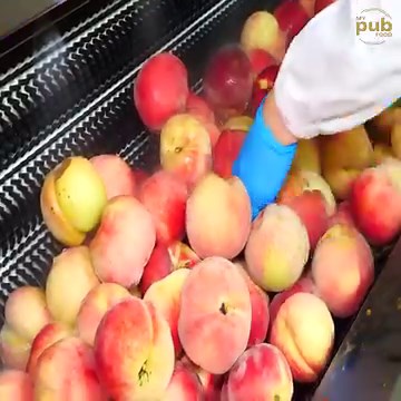 Mass production of canned peaches on natural farms - food factory | My Pub