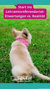 Übung macht den Meister 🙃 #lehramt #referendariat Ton: Breviceps / Pixabay; esperar / Pixabay | fit4ref.de