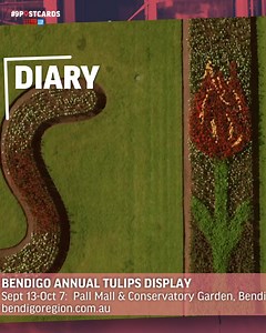 Spring has officially sprung 🌷 #9Postcards | Stream for free on @9Now | Postcards