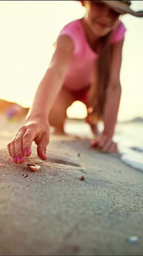 Don't Pick This Shell When You See It On The Beach #shell #beach #knowledge #animalfacts #documentary #foryou | Nature Lens | Facebook