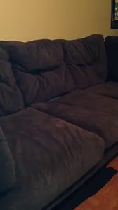Watch this dog go couch diving! #lol #cute | Waggle