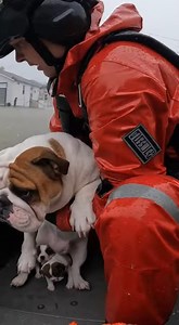 7.8K views · 67 reactions | If this made you smile, it did its job  #FeelGood #HappyMoments #GoodVibes #ViralVideo #TrendingReels #DailySmile #PositiveContent | Sweet Things | Facebook