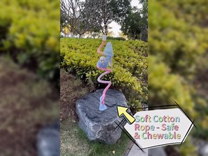 31.5" Bendable Bird Perch Cotton Rope Rainbow Bird Toy Twistable Ladder Swing Chewable Gym for Parakeets Cockatiels Conures Lovebirds