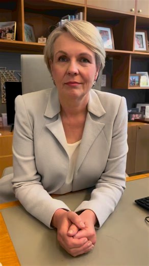 2.4K views · 90 reactions | Protecting our community is not censorship. | Tanya Plibersek | Facebook