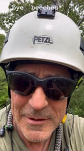 #beechleafdisease #climber #treeclimber #climbingarborist #arborist #electricbanjo #buckscountypa | Paul Lanctot