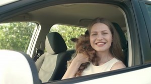 Belle femme avec un chien mignon : vidéo de stock (100 % libre de droit) 1060083434 | Shutterstock