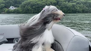 1.6K views · 122 reactions | Candlewood Lake , Ct. | Polo Reef by Andrew Sandler | Facebook