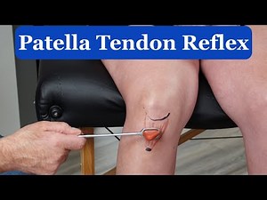 Patella Tendon Reflex - Demonstration