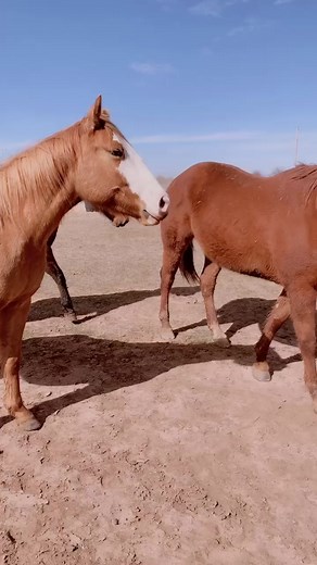 Ashley Fuller on TikTok