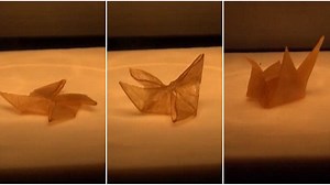New material with a 'memory' can shape-shift into origami models