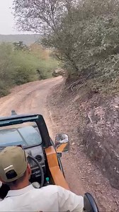 72K views · 1.2K reactions | A thrilling morning in Zone 10 of Ranthambore National Park — two majestic leopards, one male and one female, captured together in the wild. A true wildlife photographer’s dream and a moment every safari lover waits for!  Hashtags: #ranthamborenationalpark #leopard #leopards #ranthamboresafari #wildlifephotography #bigcatsofindia #naturelovers #viralvideo | Ranthambhore National Park | Facebook