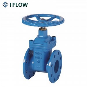 [Hot Item] BS 5150 Pn10 Nrs Cast Iron Gate Valve