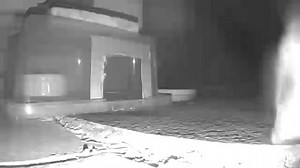 Is it a boy or girl hedgehog visiting? Is it the way they move or their build? Well look closely and I’ll tell you - that ain’t no belly button 😂😂😂 | Little Silver Hedgehog