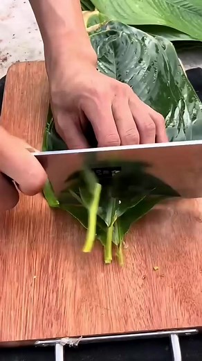 Funny Snaps | Un-KiIer