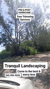 1.9K views | Tranquil Bahamas #landscaping landsca& #generalmaintenance specializing in #treetrimming #weeding #beautification #gardeninstallation #pressurewashing #painting #walkway #patio #deck and more! 242-456-3244 | Hard Copy | Facebook