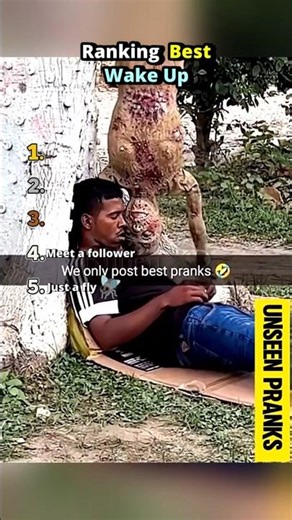 Ranking the Best Wake Up Moments 😂