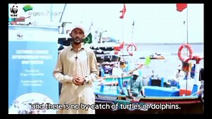 40 reactions |  From gillnets to longline gear, the change is minimising the impact of fishing operations on the marine ecosystem by 85%. Meet Abdul Jabbar from Ibrahim Hyderi, Karachi! With support from WWF-Pakistan and Engro Foundation, he shares the story of positive change. | WWF-Pakistan | Facebook