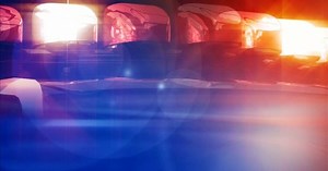 Sheriff's Office investigating horse assault