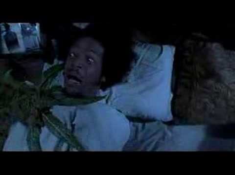Scary Movie II Weed