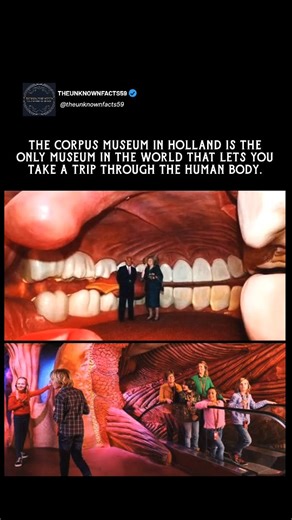 Unknown facts & Mysteries | Tech Insights on Instagram: "The Corpus Museum in Holland is the only place in the world where you can actually travel through the human body. From the pumping heart to the buzzing brain, every corner uncovers the wonders of how we live, breathe, and function. It’s more than a museum—it’s an immersive experience that blends science, health, and curiosity into one unforgettable journey. Perfect for travelers, learners, and anyone fascinated by the magic within us. Shar