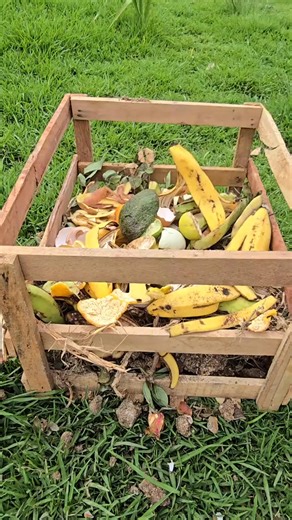 Learn to make homemade compost in just 4 weeks!  With a simple...