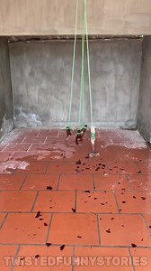 Who wants to have a 12-inch PIANIST? 🤦‍♀️😩😆 #funny #shorts #funnyreels #foryou #jokes #twistedfunnystories | Twisted Funny Stories