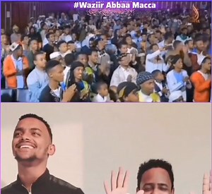 11K views · 388 reactions | Nashiidaa asiin dura hojjatamaa turte mara moolida sababeeffachuun Sirba jala naxxee fixxe ijoolleen waan sin #ajaa'ibu videon waan wol fakkaatuun reef wol argata臘 | Waziir Abbaa Macca | Facebook