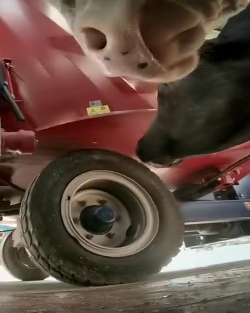 Mit dem Frontlader am 6R bist du bestens für deine tägliche Arbeit gerüstet! 👩‍🌾 | John Deere