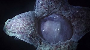 275K views · 4.9K reactions | Alive. #AlienCovenant | Alien: Romulus | Facebook