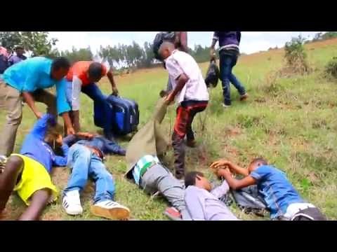 new oromo music 2016 this week