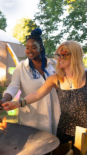 92 reactions · 18 shares |  Zoo Nights is back for 2023  Chill out...