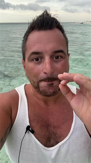 385K views · 3.2K reactions | Nikdy nezapomeň, že v oceánu jsi hostKdyž se podle toho budeš chovat, nic se ti nestane Nešlapej po korálech, nesahej na ryby a jiný živočichové pak se ti nic nestane Šnorchlování na Maledivách je úžasný a bezpečný #maledivy #ukulhas #nebezpeci #perutin #zralok #cestovani | Lowkosťák / Jan Brunato - digitální nomád | Facebook